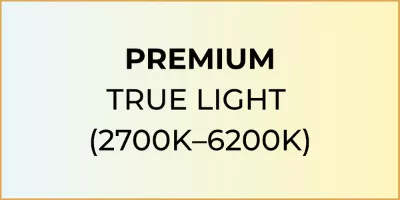Premium True light icon.